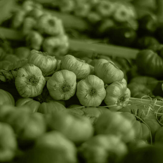 Dietamorfoza Na Start