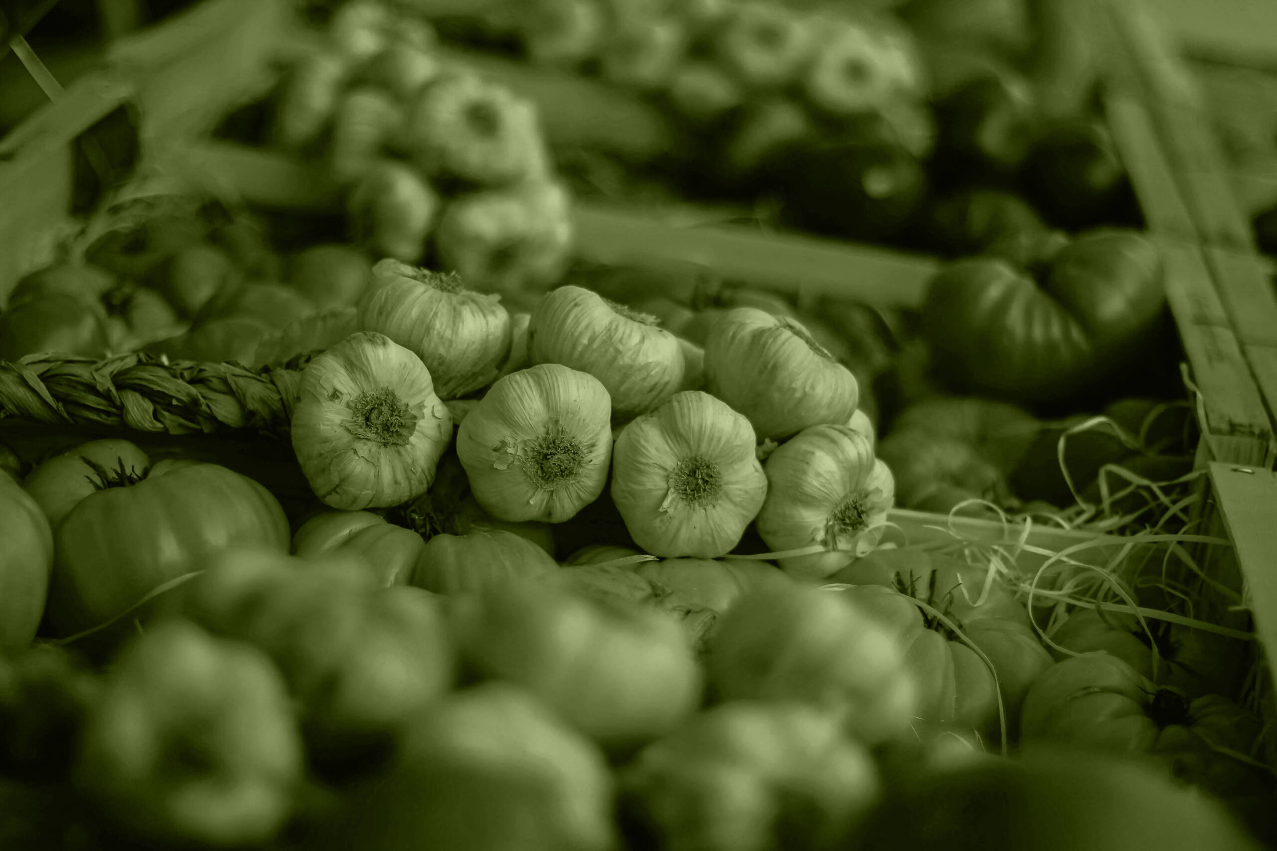 Dietamorfoza&nbsp;na&nbsp;start